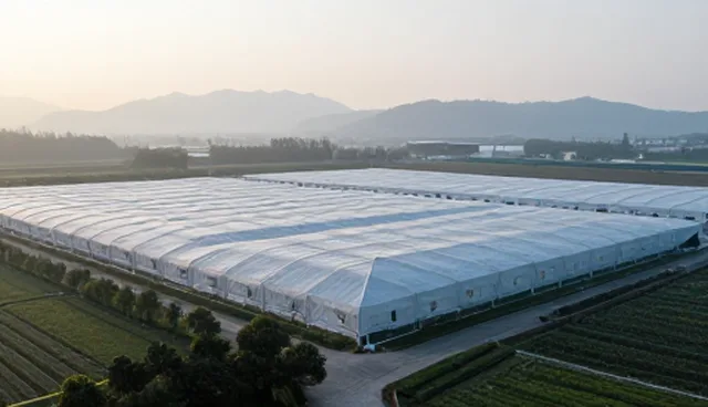 技术外包中技术成果转化包的选型与使用建议